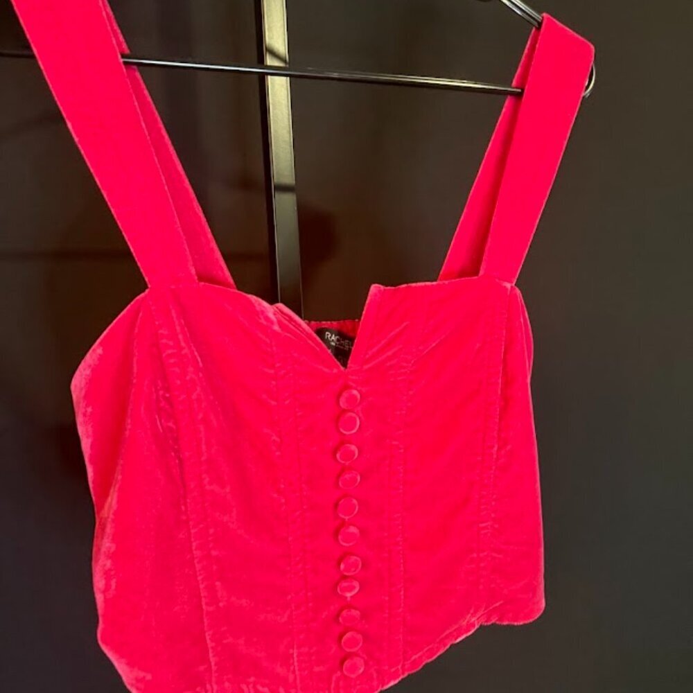 Rachel Zoe Pink Velvet Corset Top - Picture 2 of 4